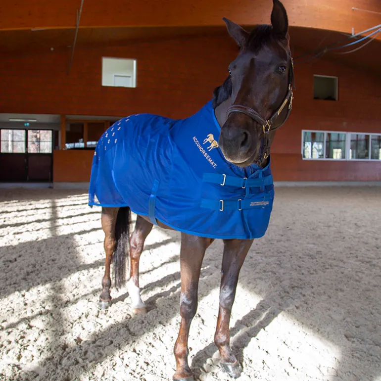Accuhorsemat Cooler inkl. Akupressurmatten