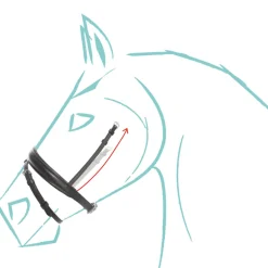 Eng.-komb. Reithalfter 