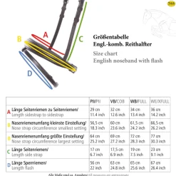 Engl.-komb. Reithalfter - integrierter Sperrriemen