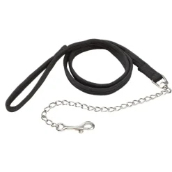 Führkette mit Karabiner