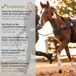 Foalmaster-Fohlengeschirr mit Haltegriff
