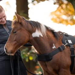 Foalmaster-Fohlengeschirr mit Haltegriff