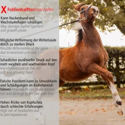 Foalmaster-Fohlengeschirr mit Haltegriff
