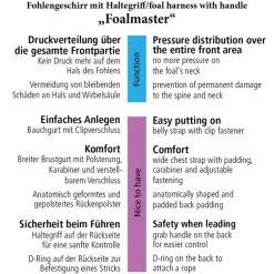 Foalmaster-Fohlengeschirr mit Haltegriff