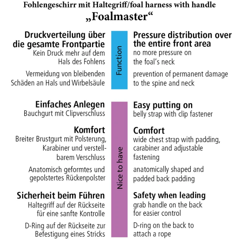 Foalmaster-Fohlengeschirr mit Haltegriff