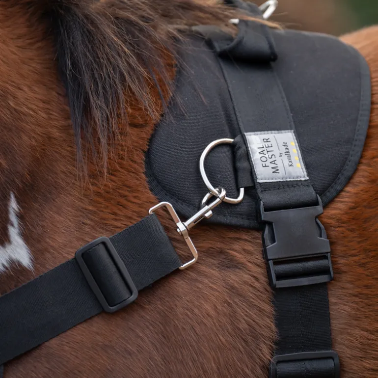 Foalmaster-Fohlengeschirr mit Haltegriff