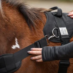 Foalmaster-Fohlengeschirr mit Haltegriff
