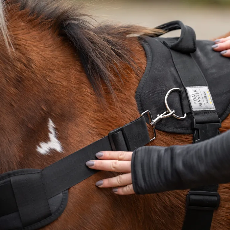 Foalmaster-Fohlengeschirr mit Haltegriff