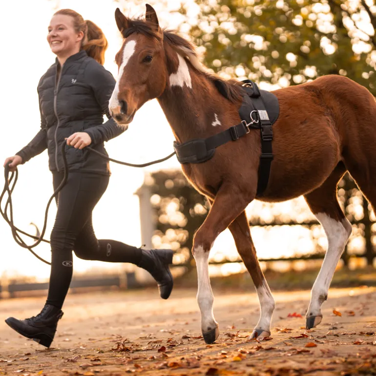 Foalmaster-Fohlengeschirr mit Haltegriff