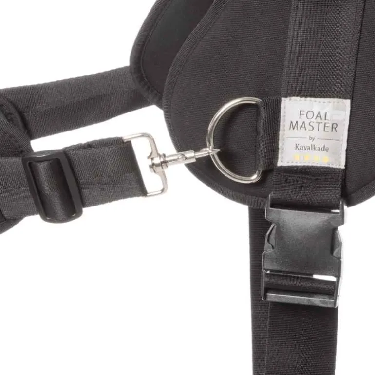 Foalmaster-Fohlengeschirr mit Haltegriff