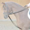Gurt-Schlaufzügel - 16mm