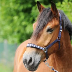 Halfter "Kaltblut Classic"
