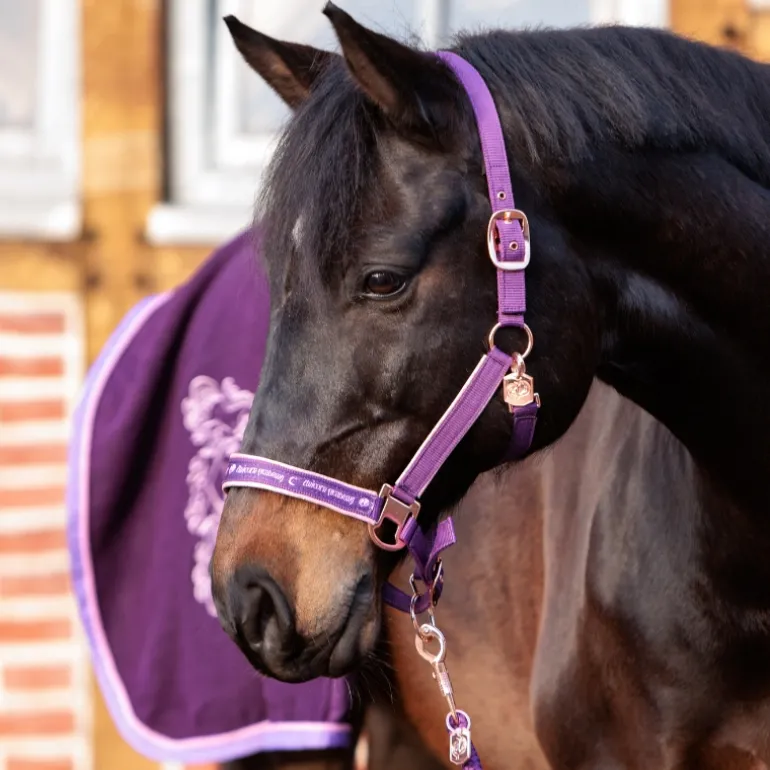 Halfter "Unicorn Academy"-Glitzer