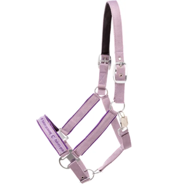 Halfter "Unicorn Academy"-Glitzer