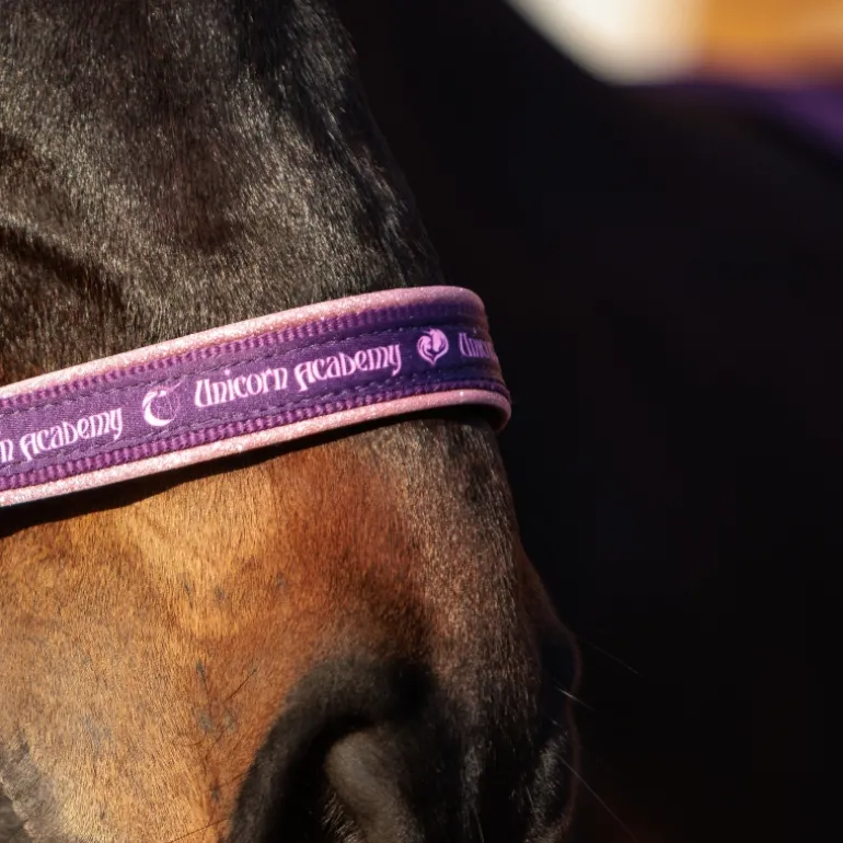 Halfter "Unicorn Academy"-Glitzer