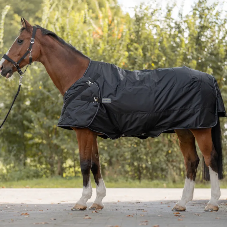 Halifax 2in1 Outdoor- und Führanlagendecke 50g