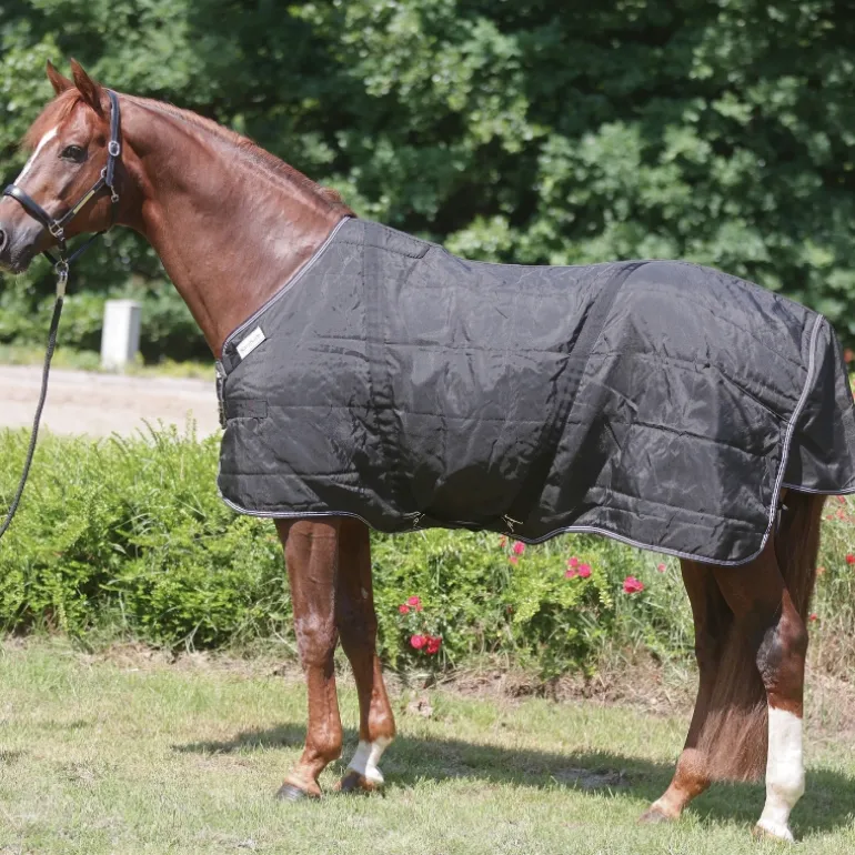Hengstdecke "Stallion"-Brustlatz 200g