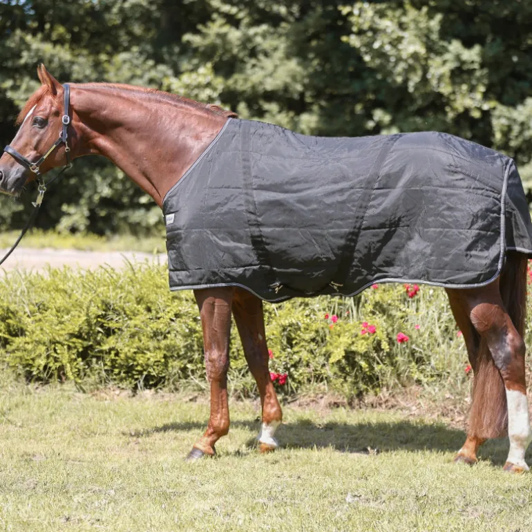 Hengstdecke "Stallion" 400g