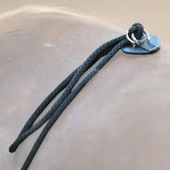 HO-Longierhilfe - Nylon