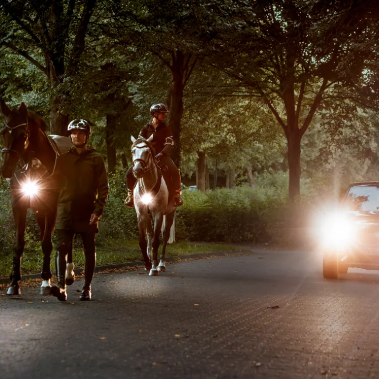 Horselight Set 1 - VZ+Sattelhusse-inkl. Leuchten