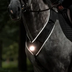 Horselight Set 1 - VZ+Sattelhusse-inkl. Leuchten