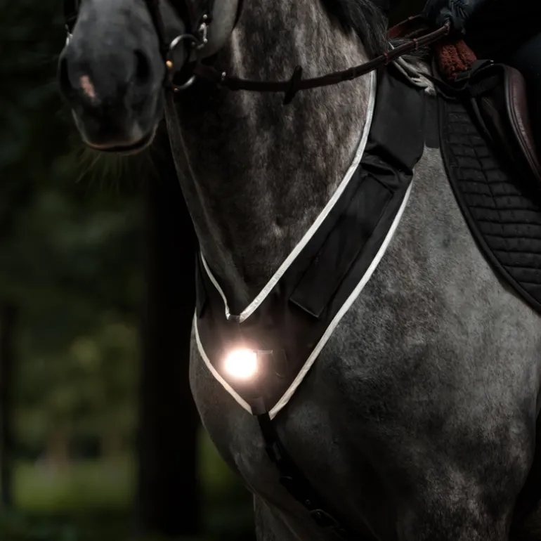 Horselight Set 1 - VZ+Sattelhusse-inkl. Leuchten