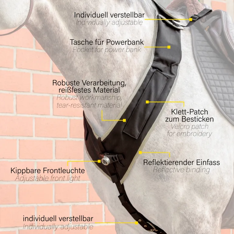 Horselight Set 1 - VZ+Sattelhusse-inkl. Leuchten