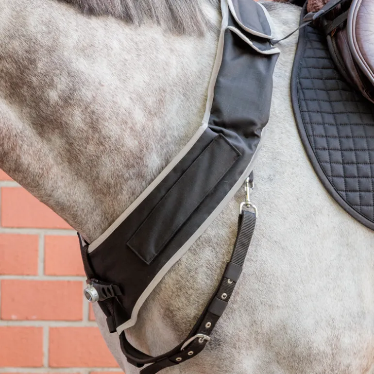 Horselight Set 1 - VZ+Sattelhusse-inkl. Leuchten