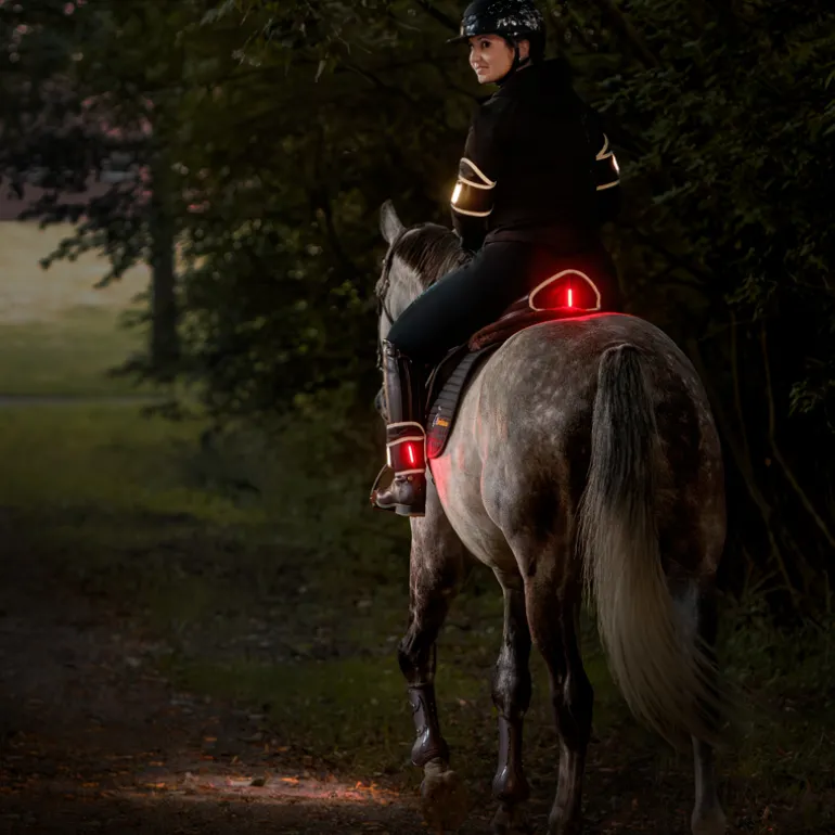 Horselight Set 1 - VZ+Sattelhusse-inkl. Leuchten