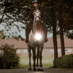 Horselight Set 1 - VZ+Sattelhusse-inkl. Leuchten