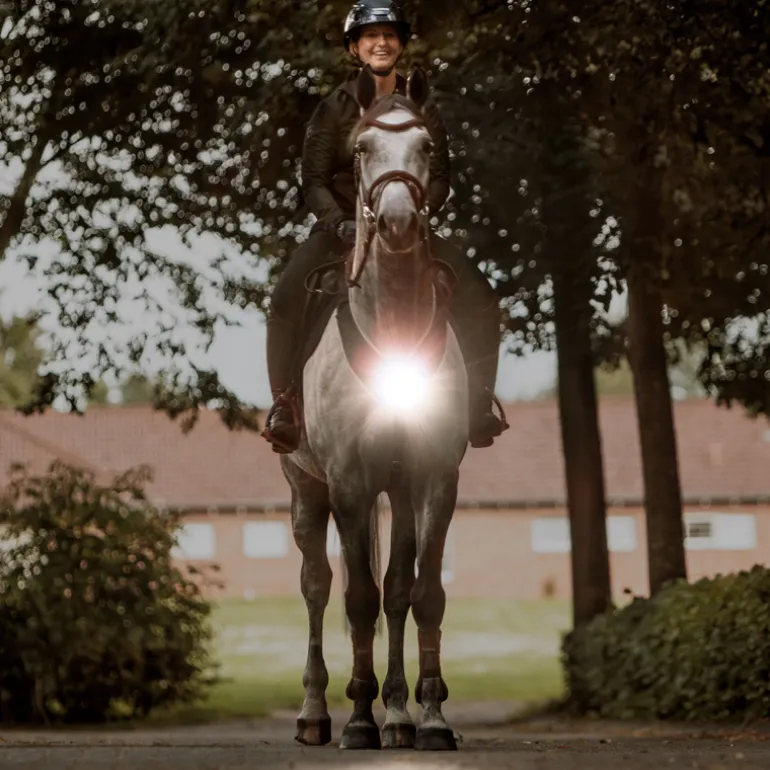 Horselight Set 1 - VZ+Sattelhusse-inkl. Leuchten
