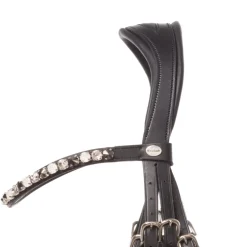 Kandare