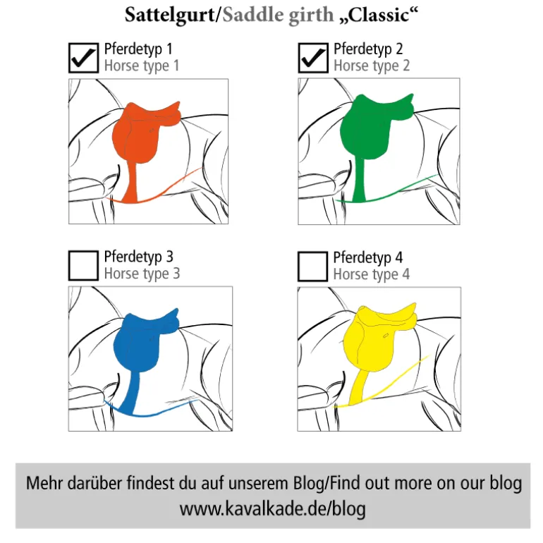 Kurzgurt "KavalPren" mit Elast