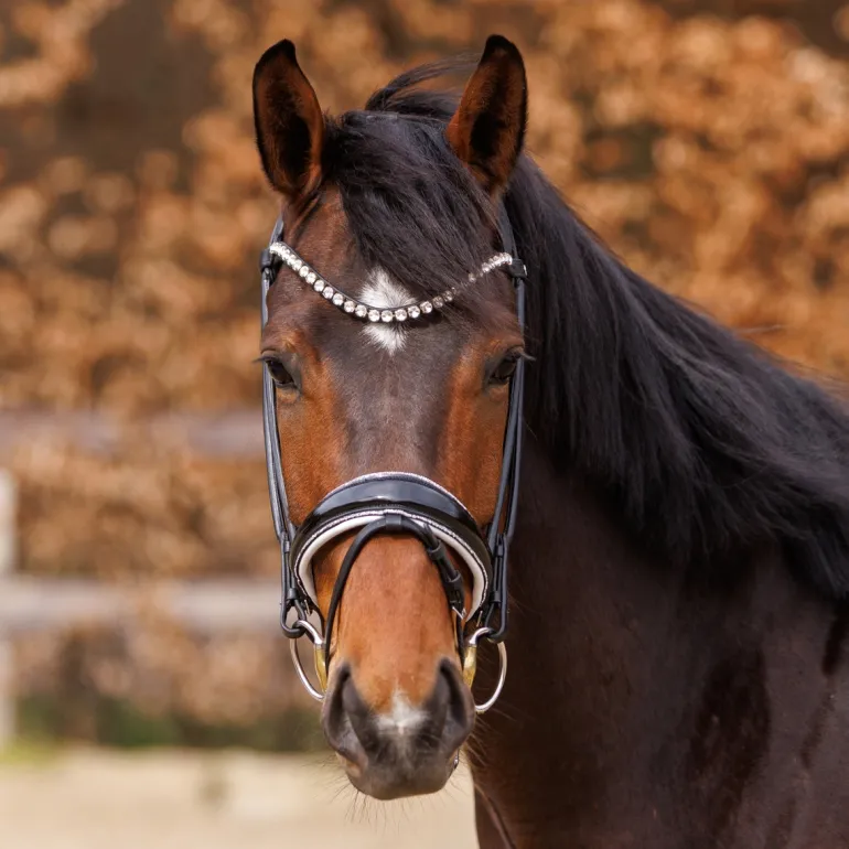 Lack-Trense "Florissa" schw.-komb.-rund-Glitzer