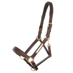 Lederhalfter Soft "Cinta"
