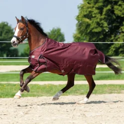 Outdoordecke "Alaska IV" Fleece