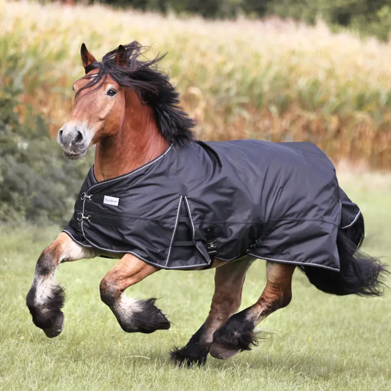 Outdoordecke "Kaltblut" - Fleece
