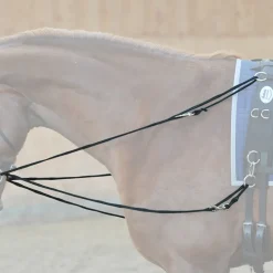Phillipszügel