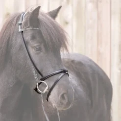 Reithalfter Islandtrense "Ragnar" eng.-komb.
