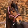 Satin Halfter "Graceful"