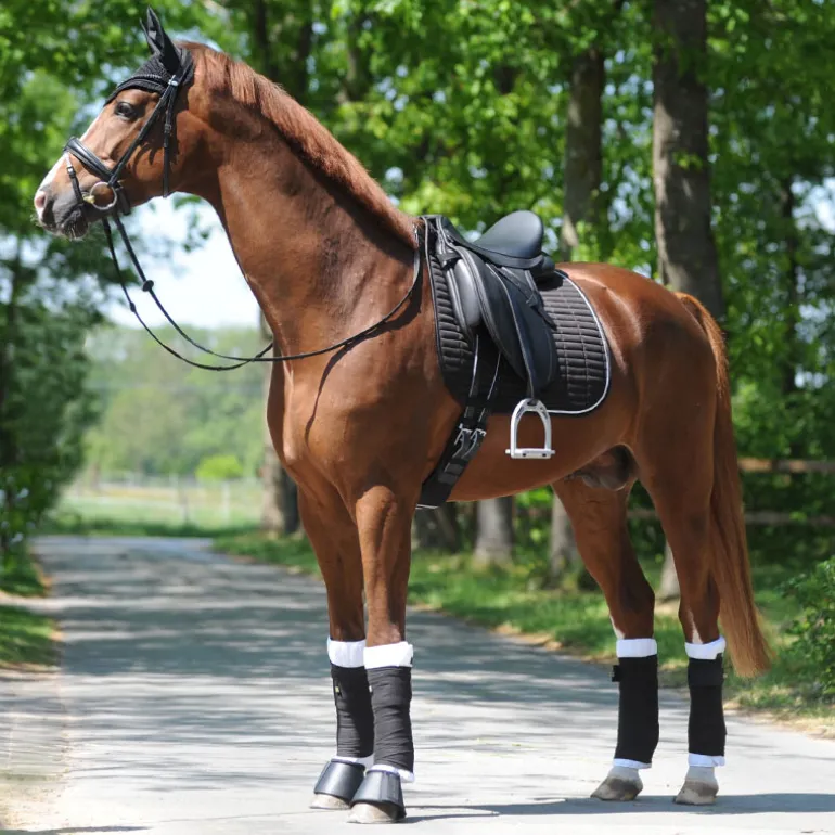 Schabracke "KavalEasy Strass"