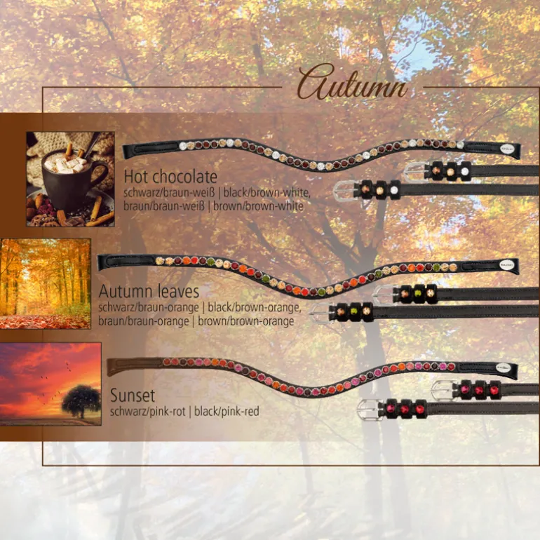 Stirnband "Seasons dreams" - BC2
