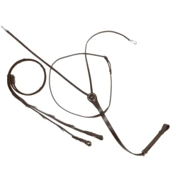 Thiedemann-/Köhler-Zügel