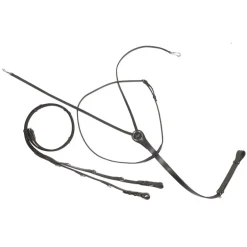 Thiedemann-/Köhler-Zügel