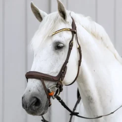 Trense geöltes Leder