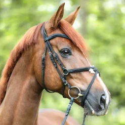 Trense geöltes Leder