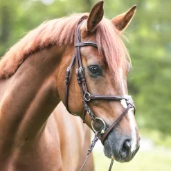 Trense geöltes Leder