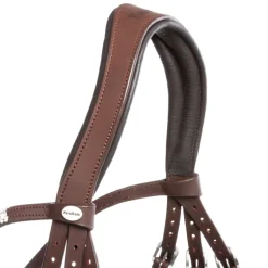 Trense geöltes Leder