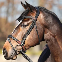 Trense geöltes Leder