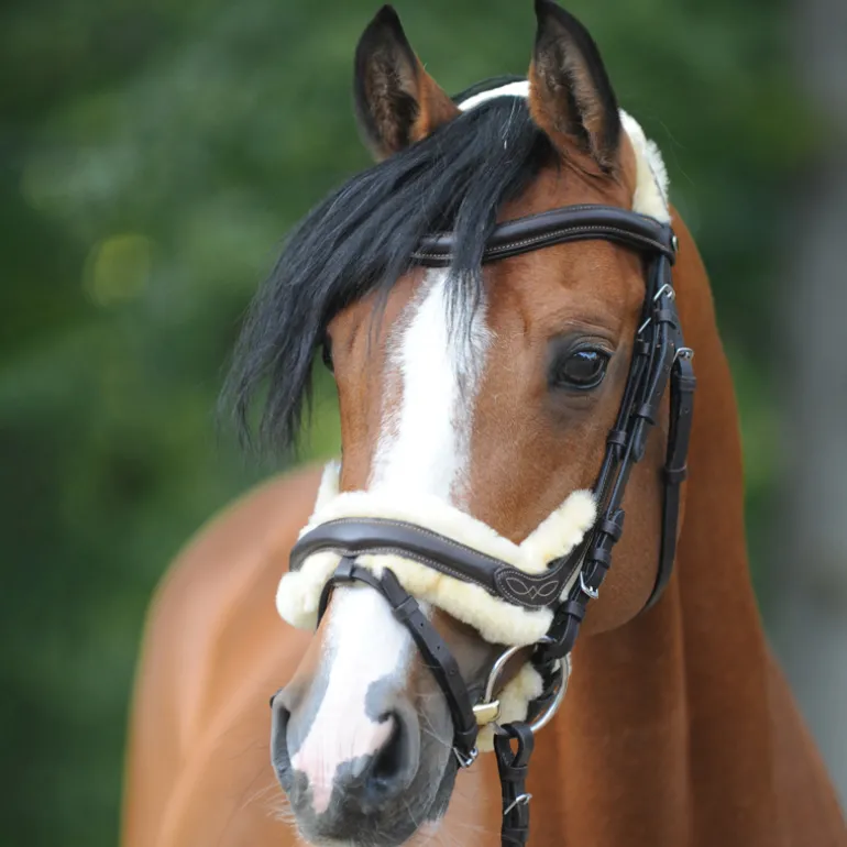 Trense "Ivy Lammfell" eng.-komb.